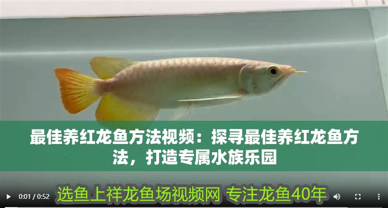 水族館店里買什么花合適一點(diǎn)（水族館水草養(yǎng)護(hù)技巧,水草造景搭配指南,水草繁殖方法介紹）