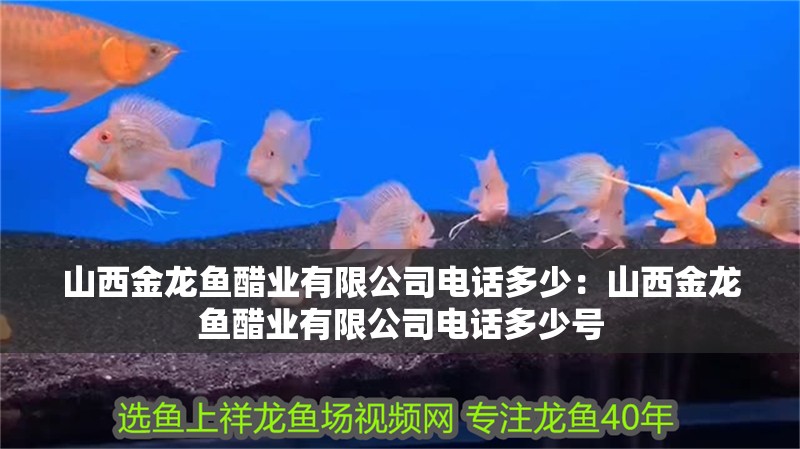 山西金龍魚醋業有限公司電話多少：山西金龍魚醋業有限公司電話多少號