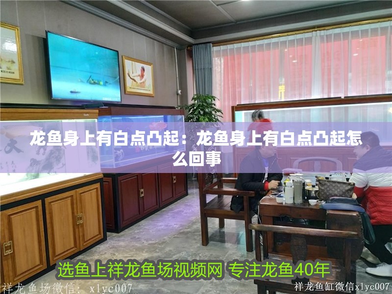 龍魚身上有白點凸起：龍魚身上有白點凸起怎么回事