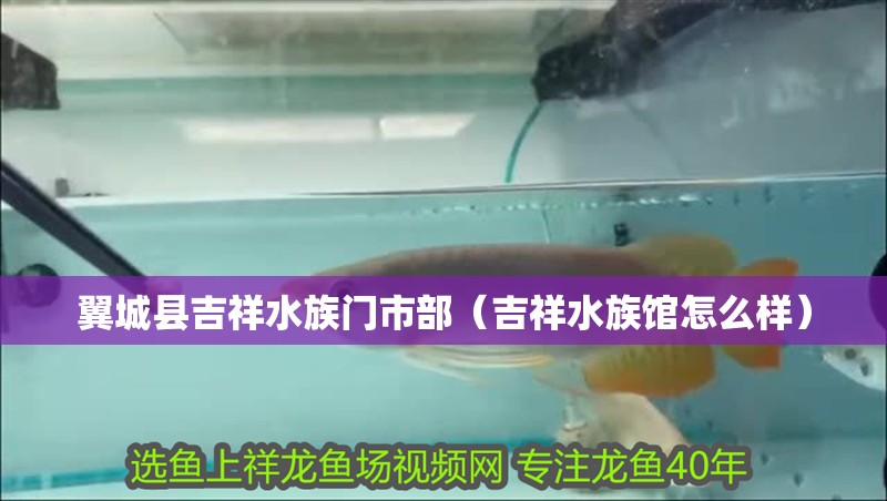 翼城縣吉祥水族門市部（吉祥水族館怎么樣）