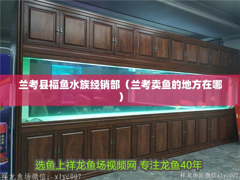 蘭考縣福魚水族經銷部（蘭考賣魚的地方在哪）