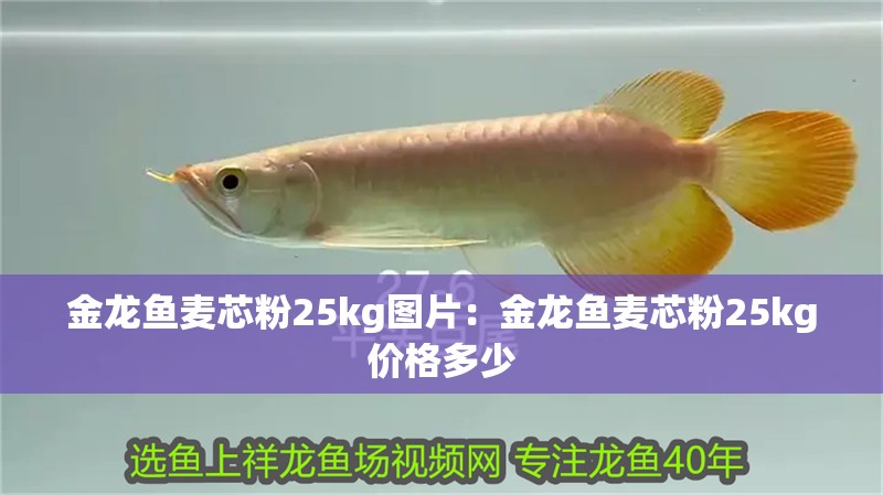 金龍魚麥芯粉25kg圖片：金龍魚麥芯粉25kg價格多少