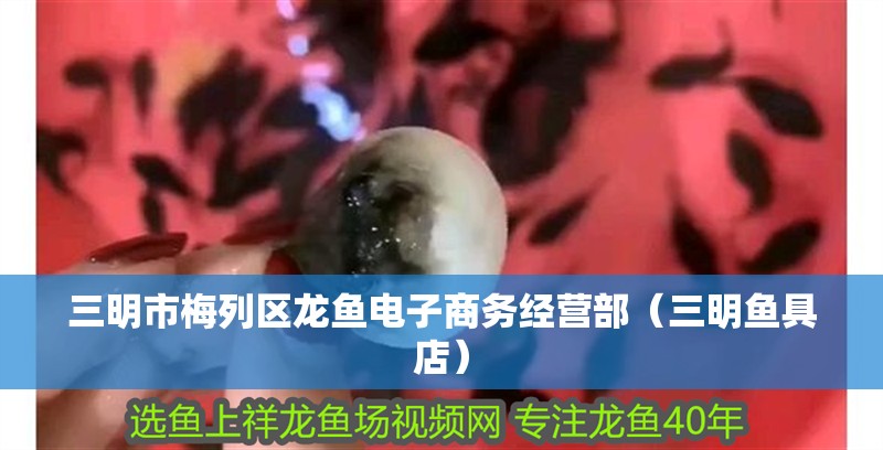 三明市<strong><mark>梅列</mark></strong>區龍魚電子商務經營部（三明魚具店）