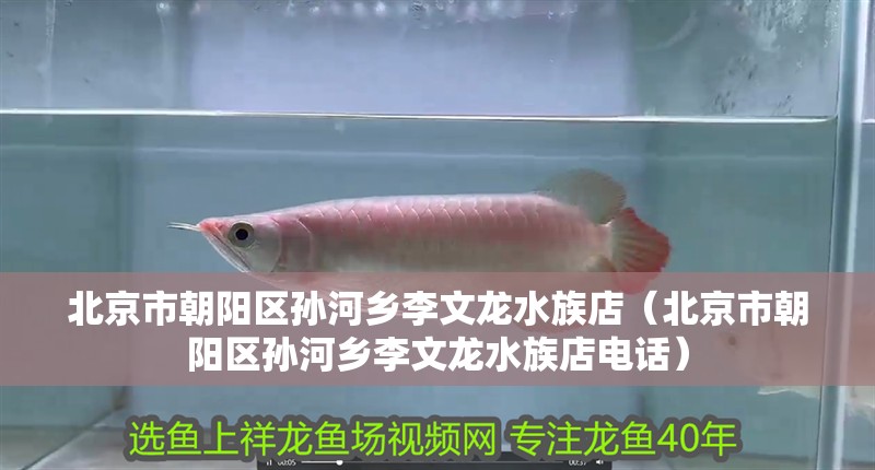 北京市朝陽區孫河鄉李文龍水族店（北京市朝陽區孫河鄉李文龍水族店電話）