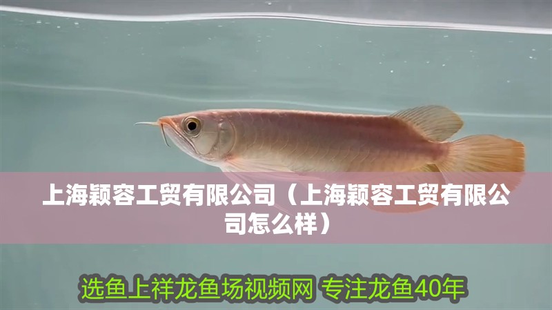 上海穎容工貿有限公司（上海穎容工貿有限公司怎么樣）