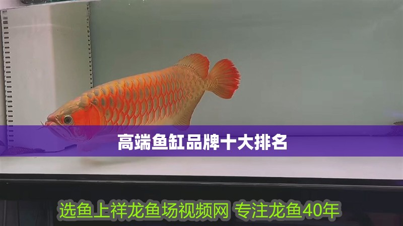 高端魚缸品牌十大排名