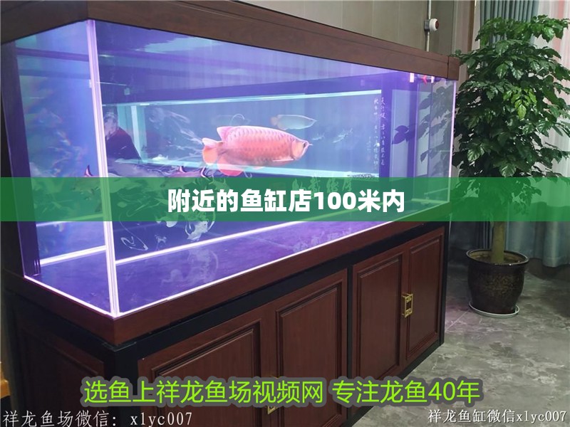 附近的魚缸店100米內(nèi) 附近的魚缸店100米內(nèi) 龍魚百科 第1張