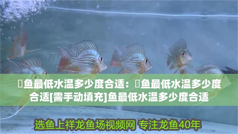 魟魚最低水溫多少度合適：魟魚最低水溫多少度合適[需手動填充]魚最低水溫多少度合適 魟魚最低水溫多少度合適：魟魚最低水溫多少度合適[需手動填充]魚最低水溫多少度合適 魟魚百科 第1張