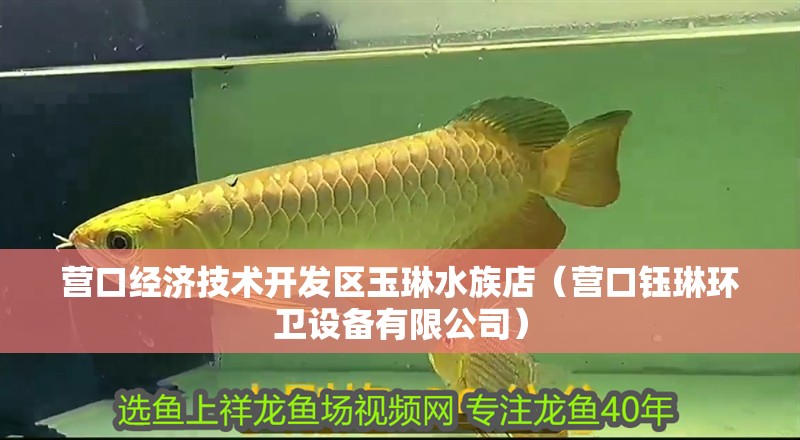 營口經濟技術開發區玉琳水族店(營口鈺琳環衛設備有限公司) 全國水族館企業名錄 第1張 營口經濟技術開發區玉琳水族店(營口鈺琳環衛設備有限公司) 營口經濟技術開發區玉琳水族店(營口鈺琳環衛設備有限公司) 全國水族館企業名錄 第1張