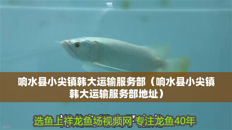 響水縣小尖鎮(zhèn)韓大運輸服務(wù)部（響水縣小尖鎮(zhèn)韓大運輸服務(wù)部地址）