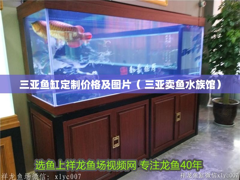 三亞魚缸定制價格及圖片（ 三亞賣魚水族館）