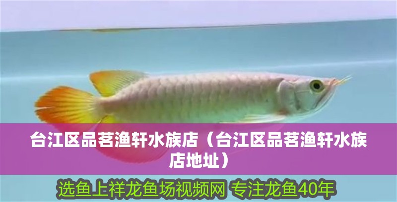 臺(tái)江區(qū)品茗漁軒水族店（臺(tái)江區(qū)品茗漁軒水族店地址）