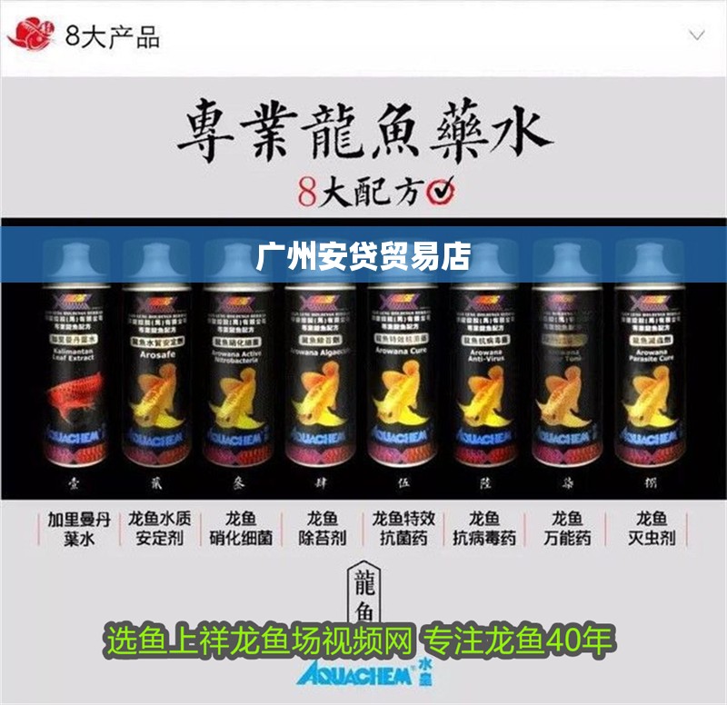 廣州安貸貿易店