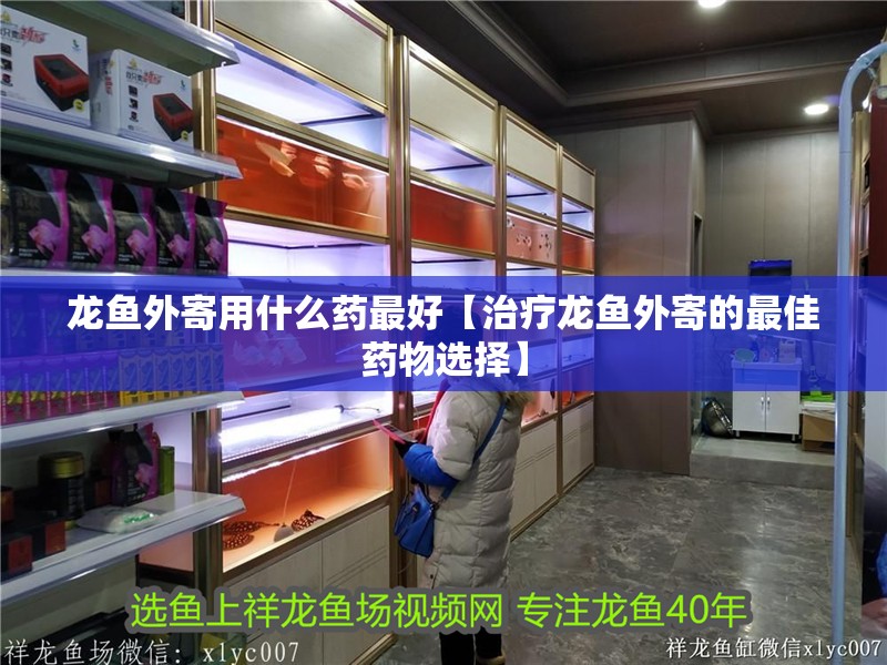 龍魚外寄用什么藥最好【治療龍魚外寄的最佳藥物選擇】