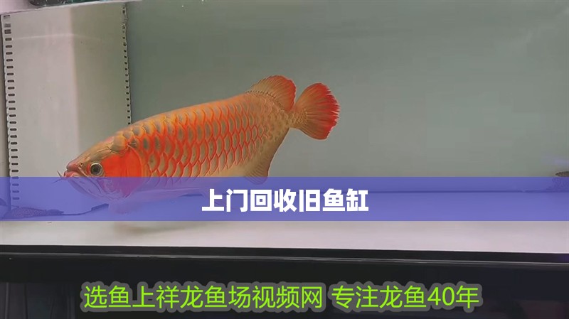 上門(mén)回收舊魚(yú)缸