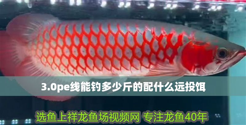 3.0pe線能釣多少斤的配什么遠投餌