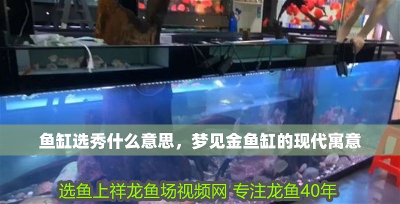 魚缸選秀什么意思，夢見金魚缸的現代寓意