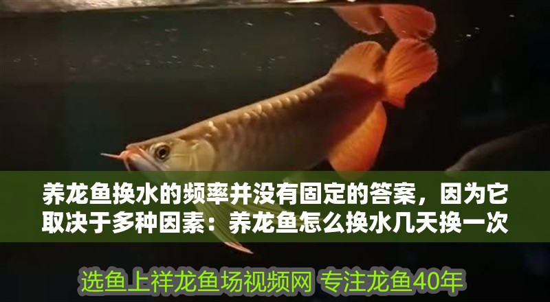 養龍魚換水的頻率并沒有固定的答案，因為它取決于多種因素：養龍魚怎么換水幾天換一次 養龍魚換水的頻率并沒有固定的答案，因為它取決于多種因素：養龍魚怎么換水幾天換一次 龍魚百科