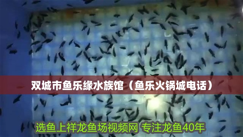 雙城市魚樂緣水族館（魚樂火鍋城電話）