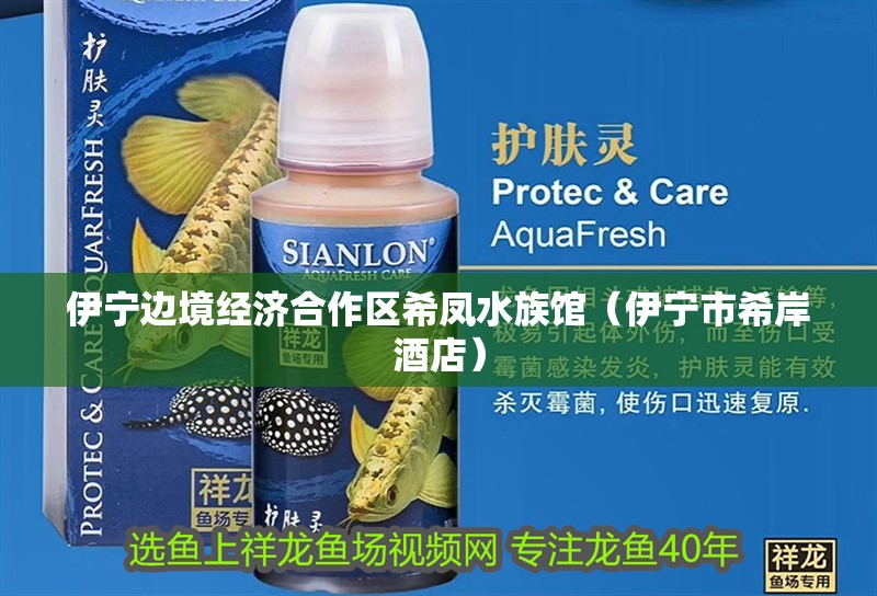 伊寧邊境經(jīng)濟(jì)合作區(qū)希鳳水族館（伊寧市希岸酒店）