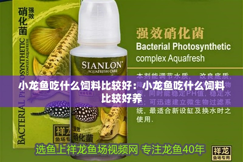 小龍魚吃什么飼料比較好：小龍魚吃什么飼料比較好養