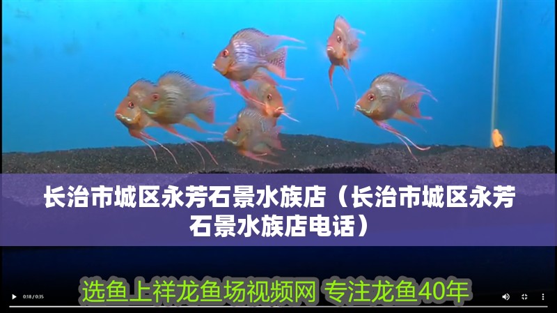 長(zhǎng)治市城區(qū)永芳石景水族店（長(zhǎng)治市城區(qū)永芳石景水族店電話）