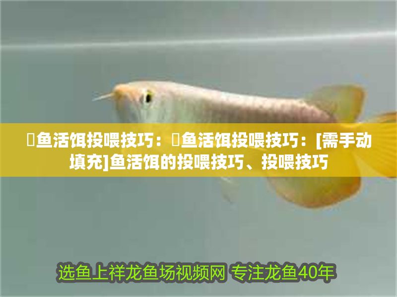 魟魚活餌投喂技巧：魟魚活餌投喂技巧：[需手動(dòng)填充]魚活餌的投喂技巧、投喂技巧