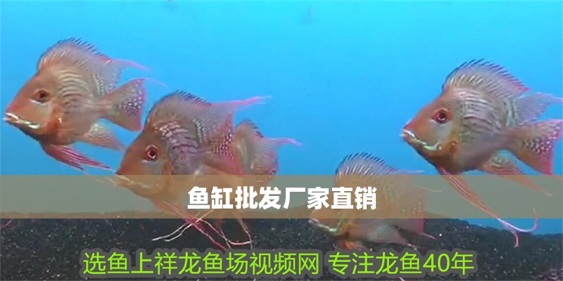 魚缸批發(fā)廠家直銷