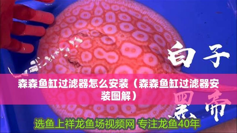 森森魚缸過濾器怎么安裝（森森魚缸過濾器安裝圖解）