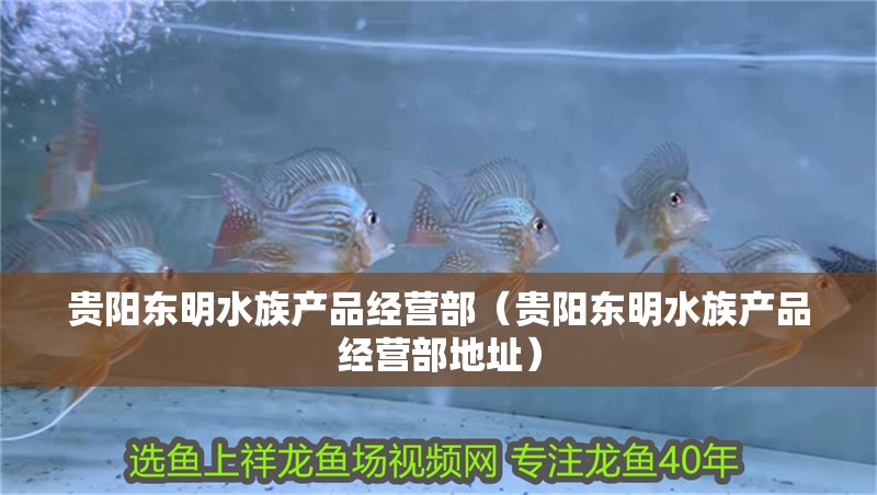 貴陽(yáng)東明水族產(chǎn)品經(jīng)營(yíng)部（貴陽(yáng)東明水族產(chǎn)品經(jīng)營(yíng)部地址）