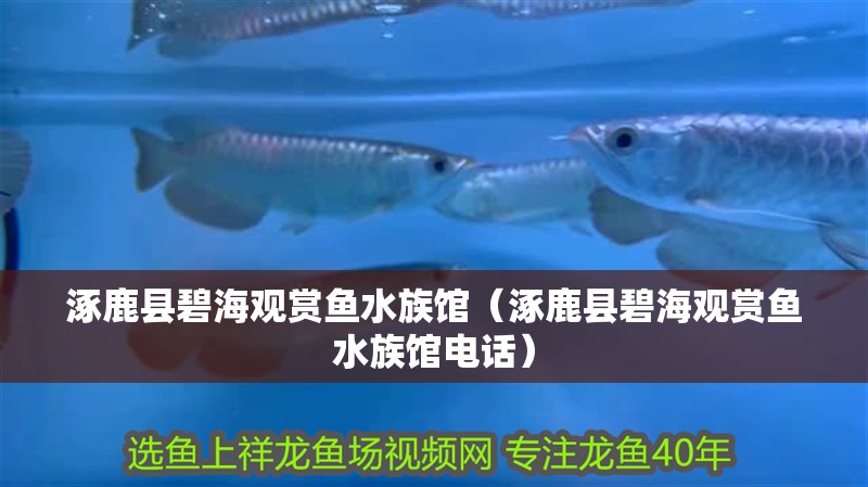 涿鹿縣碧海觀賞魚水族館（涿鹿縣碧海觀賞魚水族館電話）