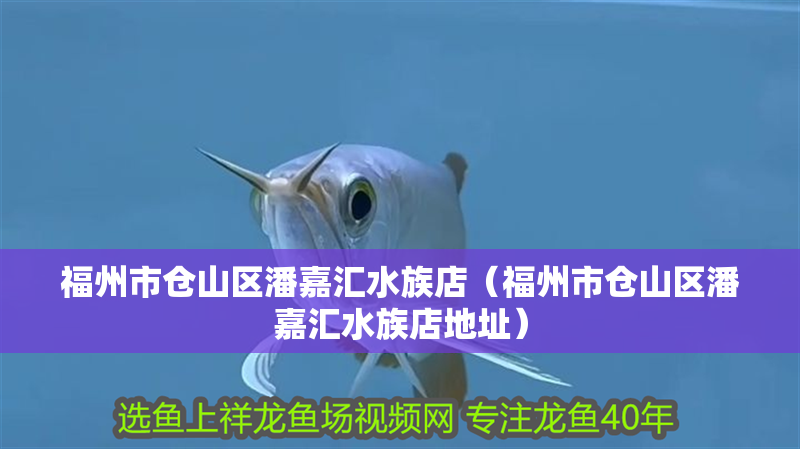福州市倉山區潘嘉匯水族店（福州市倉山區潘嘉匯水族店地址）