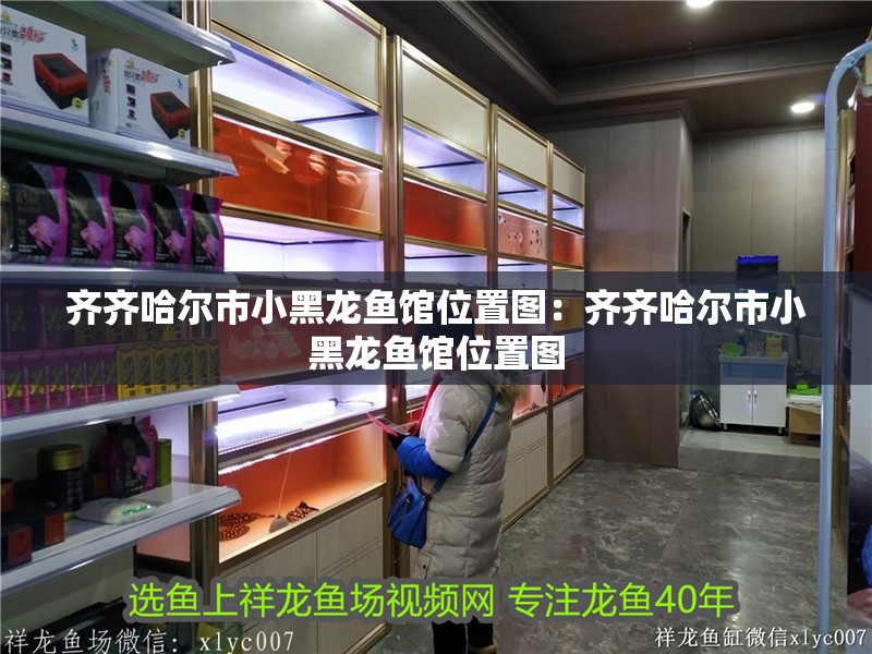 齊齊哈爾市小黑龍魚館位置圖：齊齊哈爾市小黑龍魚館位置圖