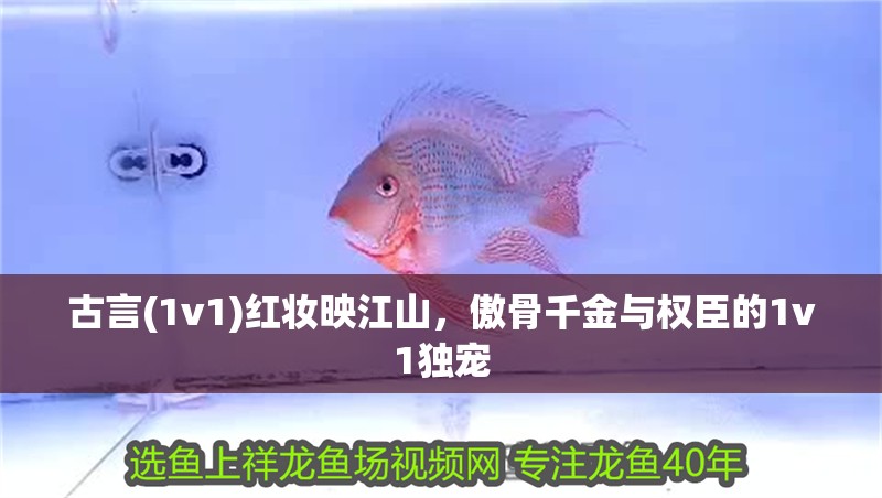 古言(1v1)紅妝映江山，傲骨千金與權(quán)臣的1v1獨(dú)寵