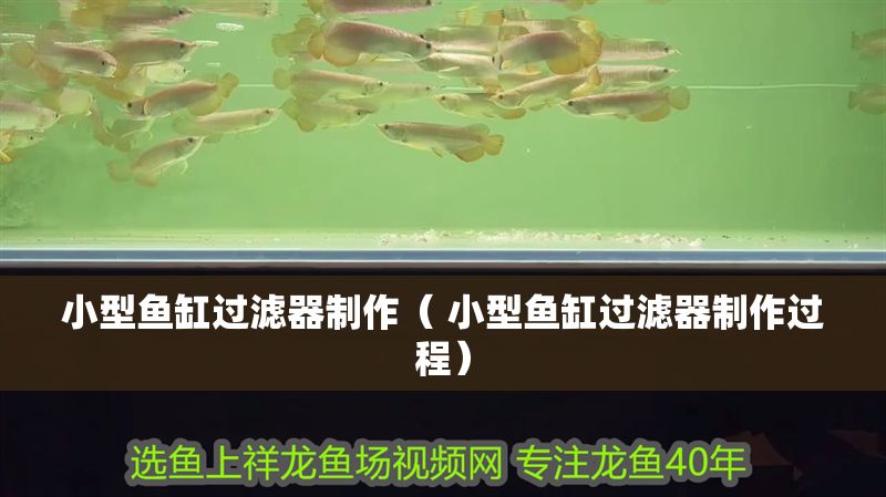 小型魚缸過濾器制作（ 小型魚缸過濾器制作過程）