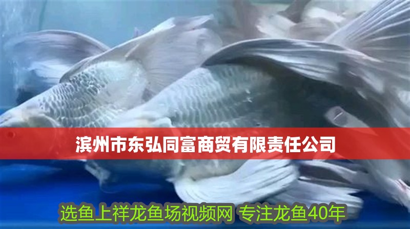 濱州市東弘同富商貿(mào)有限責(zé)任公司