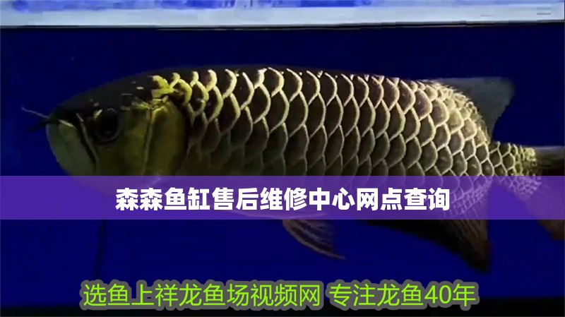 森森魚(yú)缸售后維修中心網(wǎng)點(diǎn)查詢(xún)