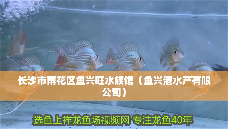 長沙市雨花區(qū)魚興旺水族館（魚興港水產(chǎn)有限公司）