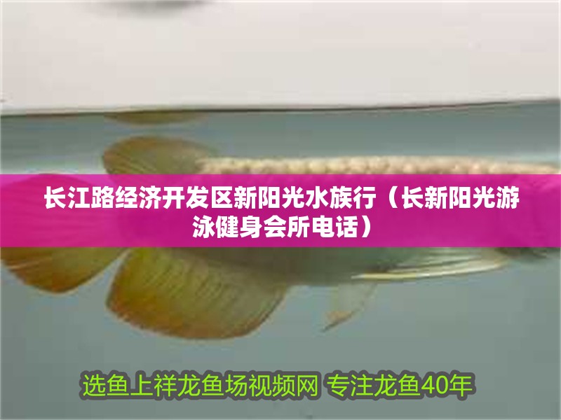 長(zhǎng)江路經(jīng)濟(jì)開發(fā)區(qū)新陽光水族行（長(zhǎng)新陽光游泳健身會(huì)所電話）