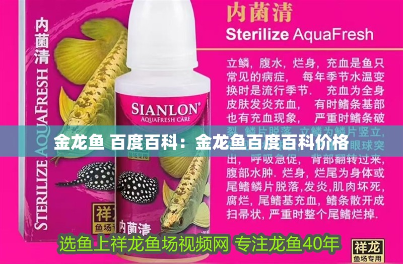 金龍魚 百度百科：金龍魚百度百科價格