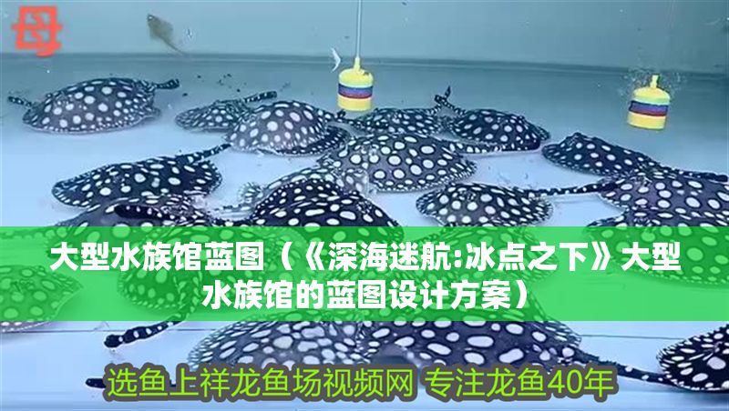 大型水族館藍圖（《深海迷航:冰點之下》大型水族館的藍圖設計方案）