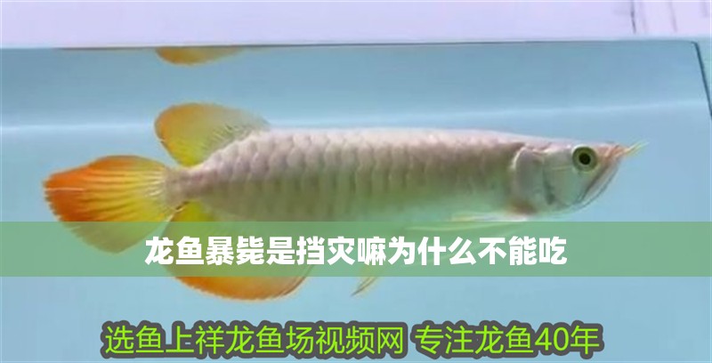 龍魚暴斃是擋災嘛為什么不能吃