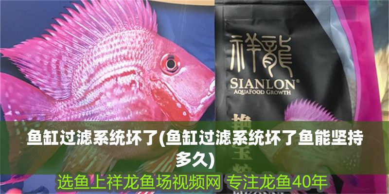 魚缸過濾系統(tǒng)壞了(魚缸過濾系統(tǒng)壞了魚能堅持多久)