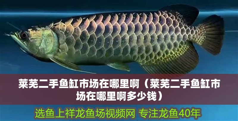 萊蕪二手魚缸市場在哪里?。ㄈR蕪二手魚缸市場在哪里啊多少錢）
