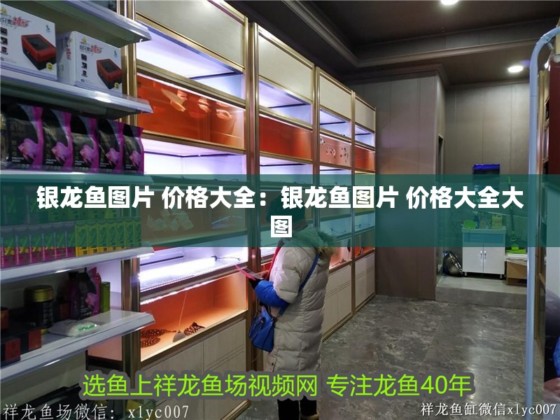 銀龍魚圖片 價(jià)格大全:銀龍魚圖片 價(jià)格大全大圖 水族問答 銀龍魚圖片 價(jià)格大全:銀龍魚圖片 價(jià)格大全大圖 銀龍魚圖片 價(jià)格大全:銀龍魚圖片 價(jià)格大全大圖 水族問答