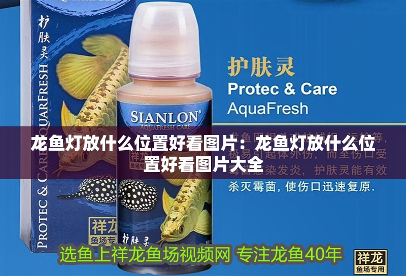 龍魚燈放什么位置好看圖片：龍魚燈放什么位置好看圖片大全