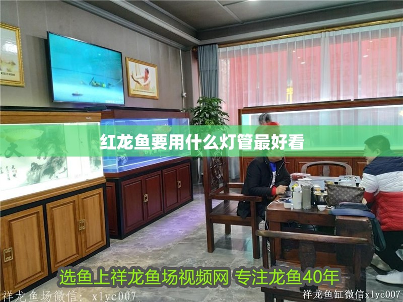 紅龍魚要用什么燈管最好看