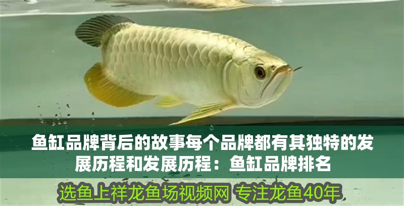 魚缸品牌背后的故事每個品牌都有其獨特的發展歷程和發展歷程：魚缸品牌排名