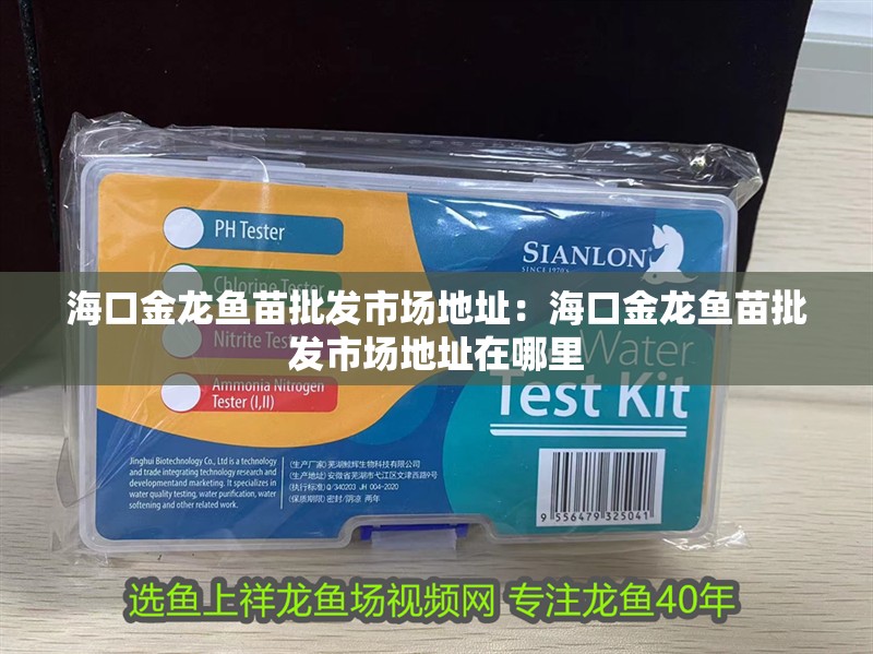 海口金龍魚苗批發市場地址：海口金龍魚苗批發市場地址在哪里