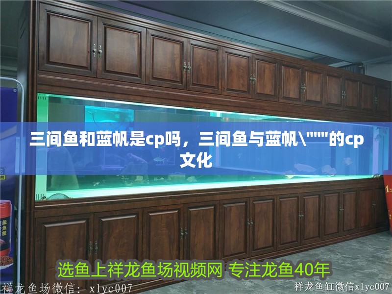三間魚和藍帆是cp嗎，三間魚與藍帆\